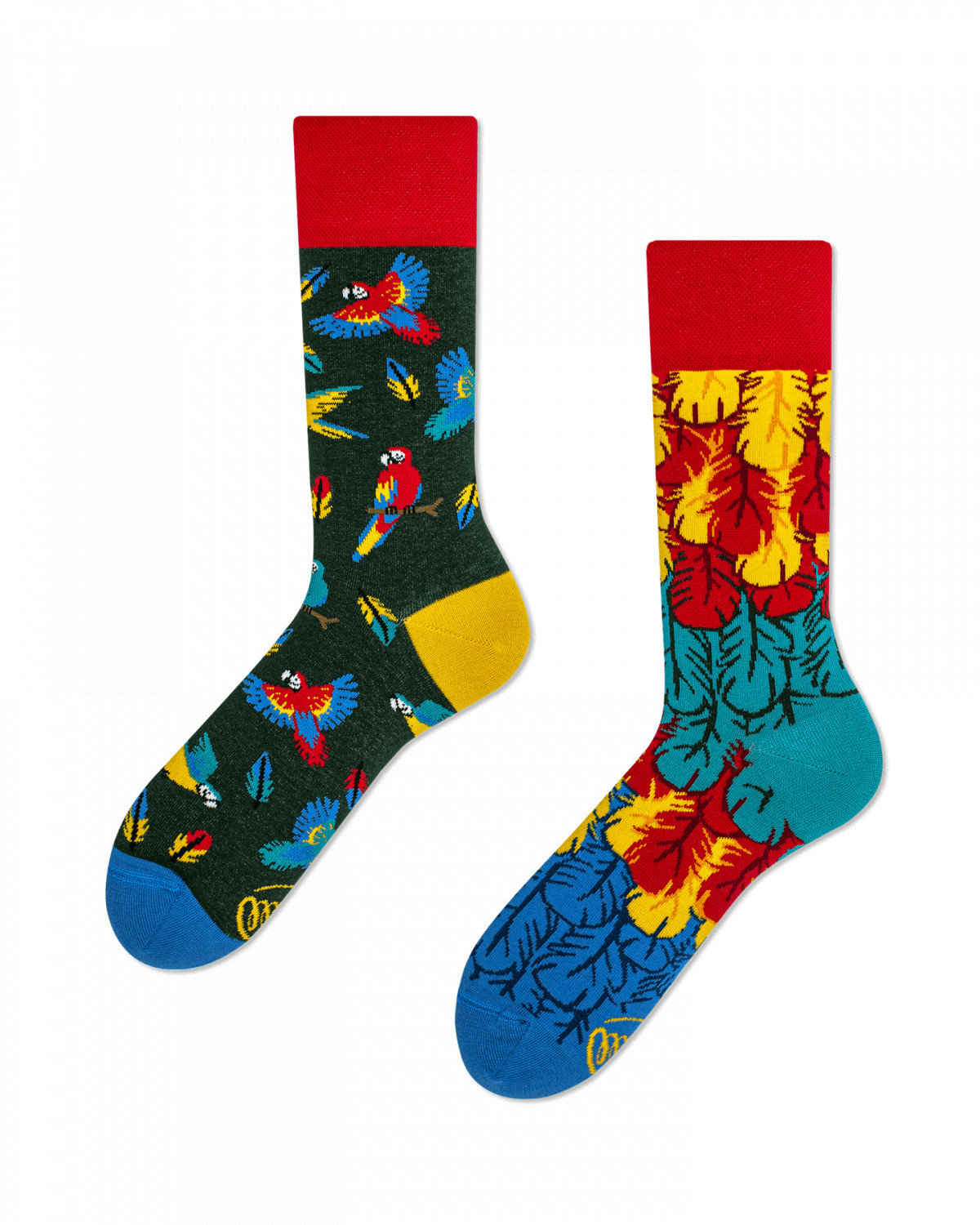Chaussettes Many morning - Paradise parrot - photo 6