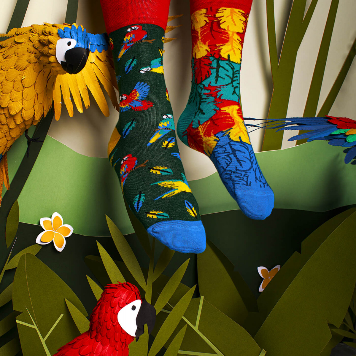 Chaussettes Many morning - Paradise parrot - photo 8
