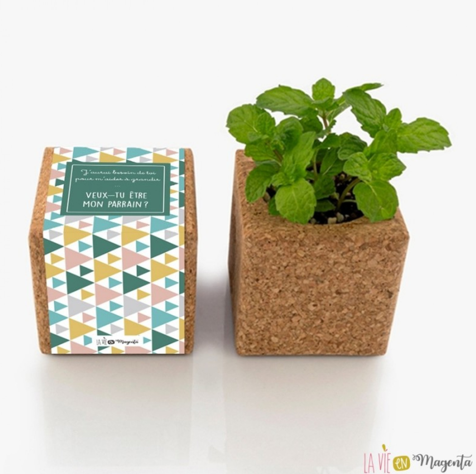 Demande de parrain, marraine - Boutique Toup'tibou - photo 26