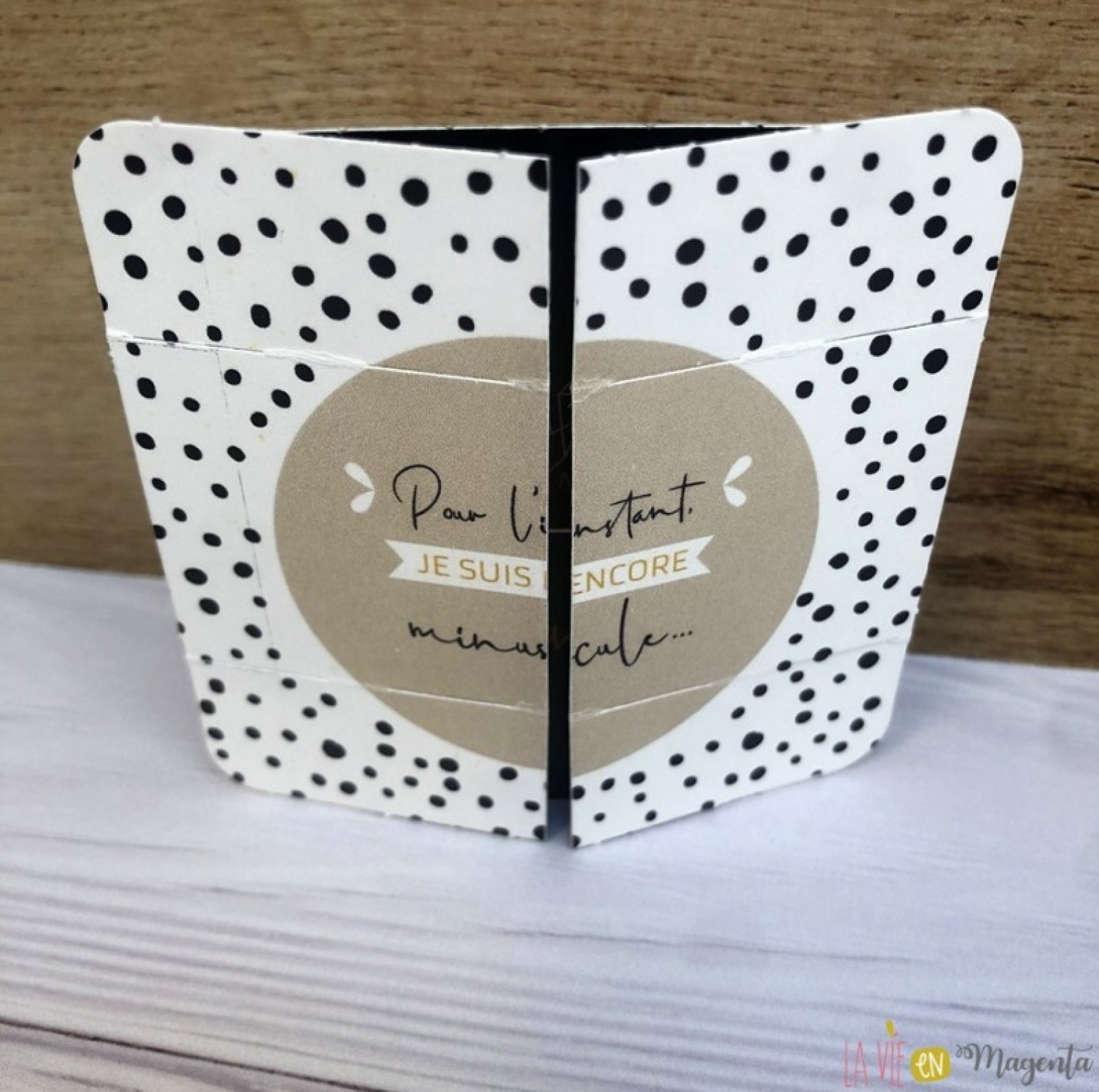 Demande de parrain, marraine - photo 25