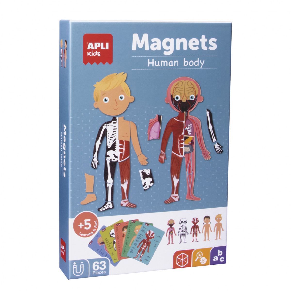 Boite magnets Le corps humain +5A - Boutique Toup'tibou - photo 6