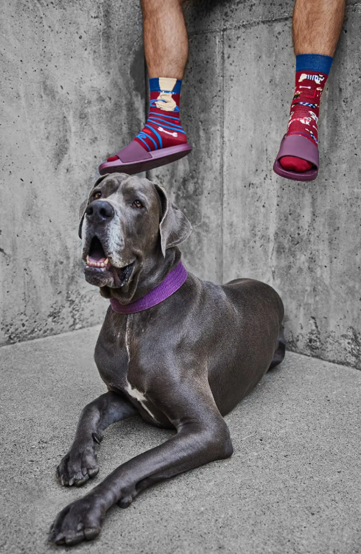 Chaussettes Many Mornings - Walkie Doggy - photo 6