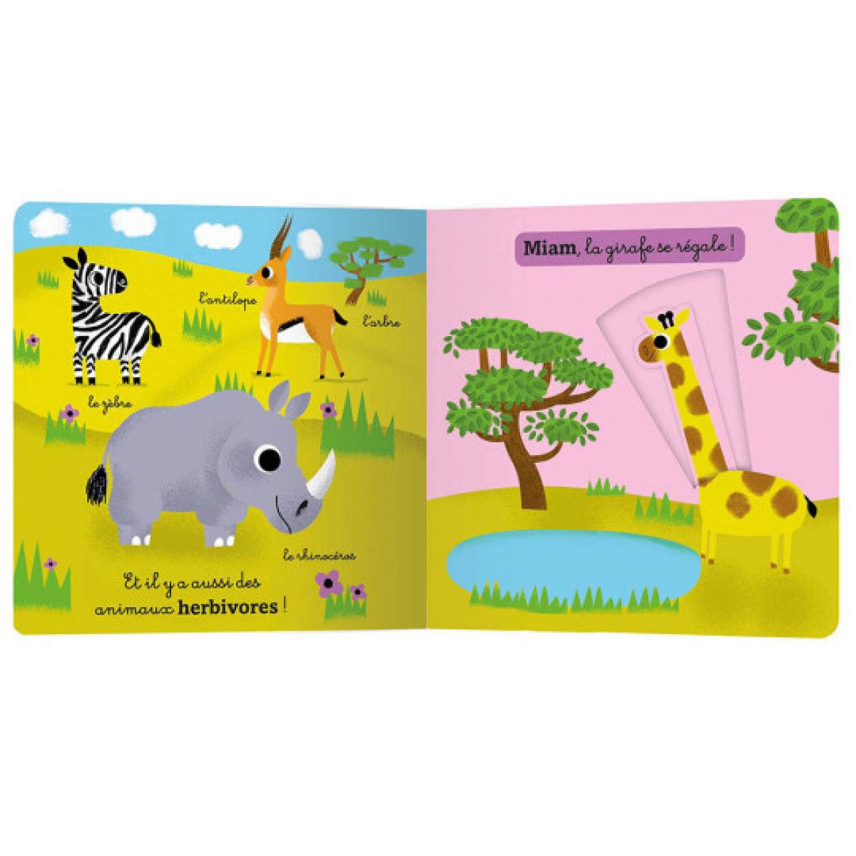 La jungle et la savane - photo 7