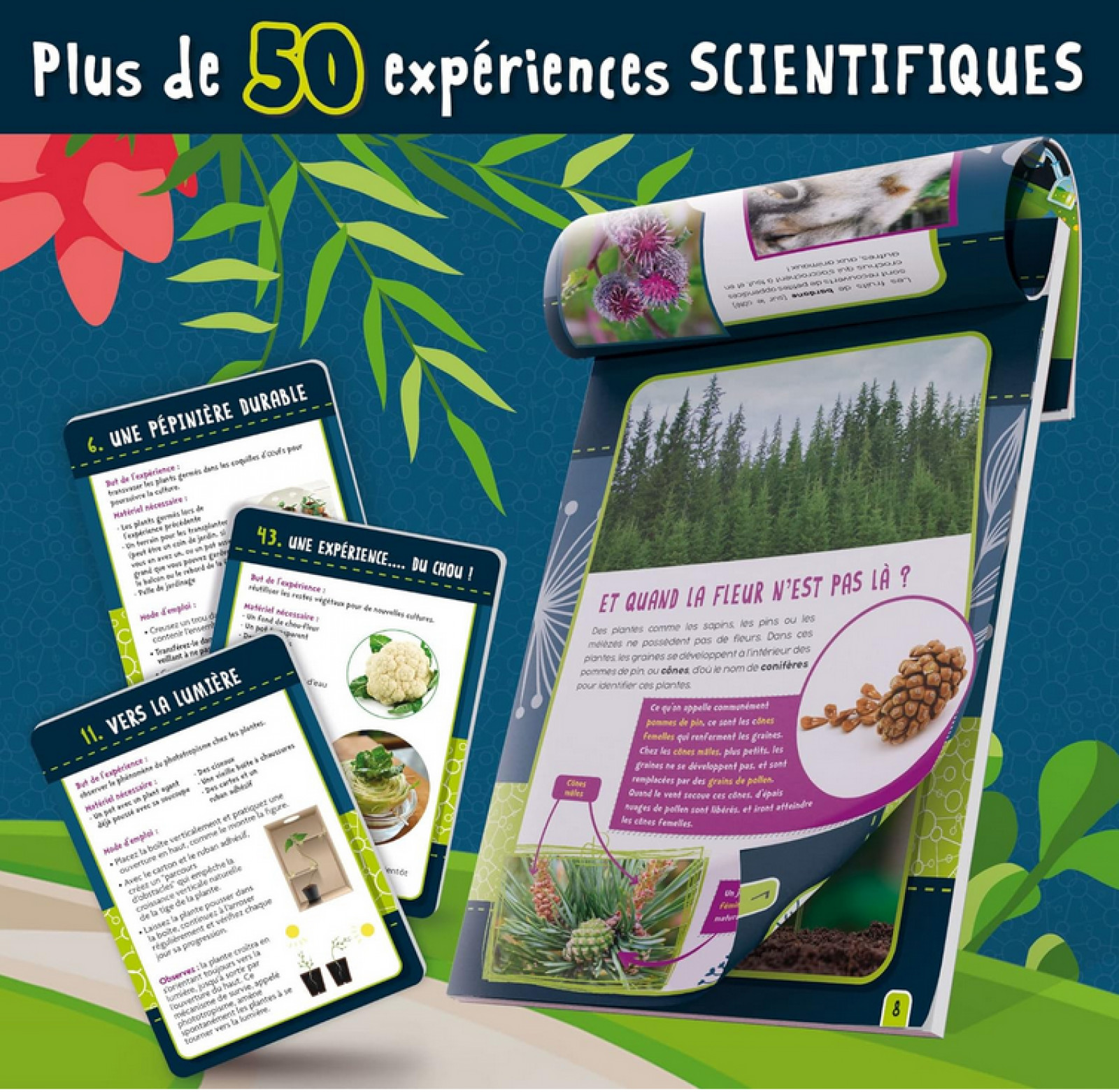 Botanique - Plus de 50 expériences - Boutique Toup'tibou - photo 9