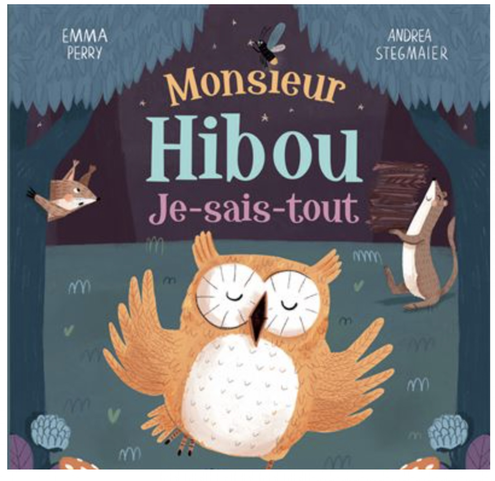 Monsieur hibou je sais tout - Boutique Toup'tibou - photo 6