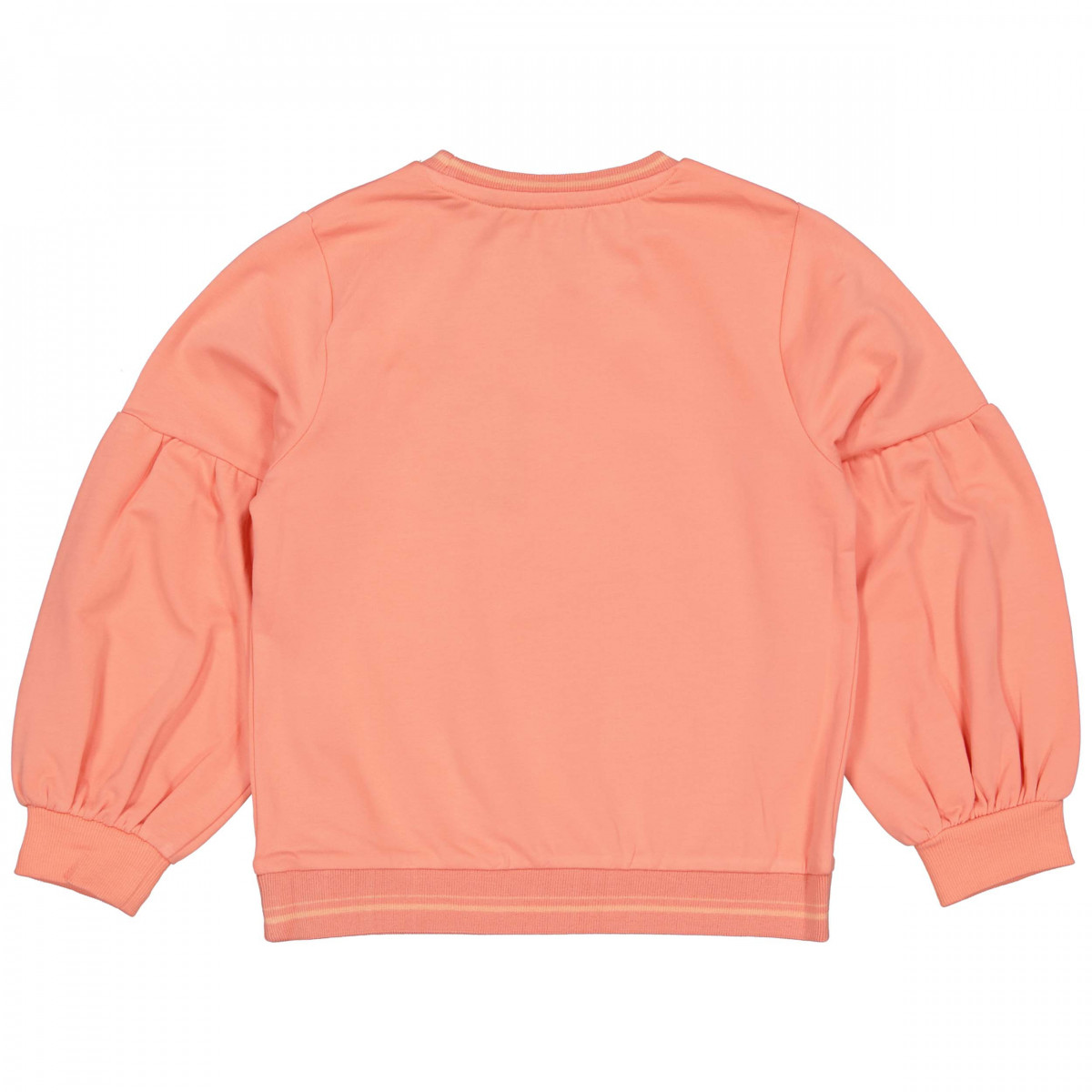Sweat Berna S241 - photo 8