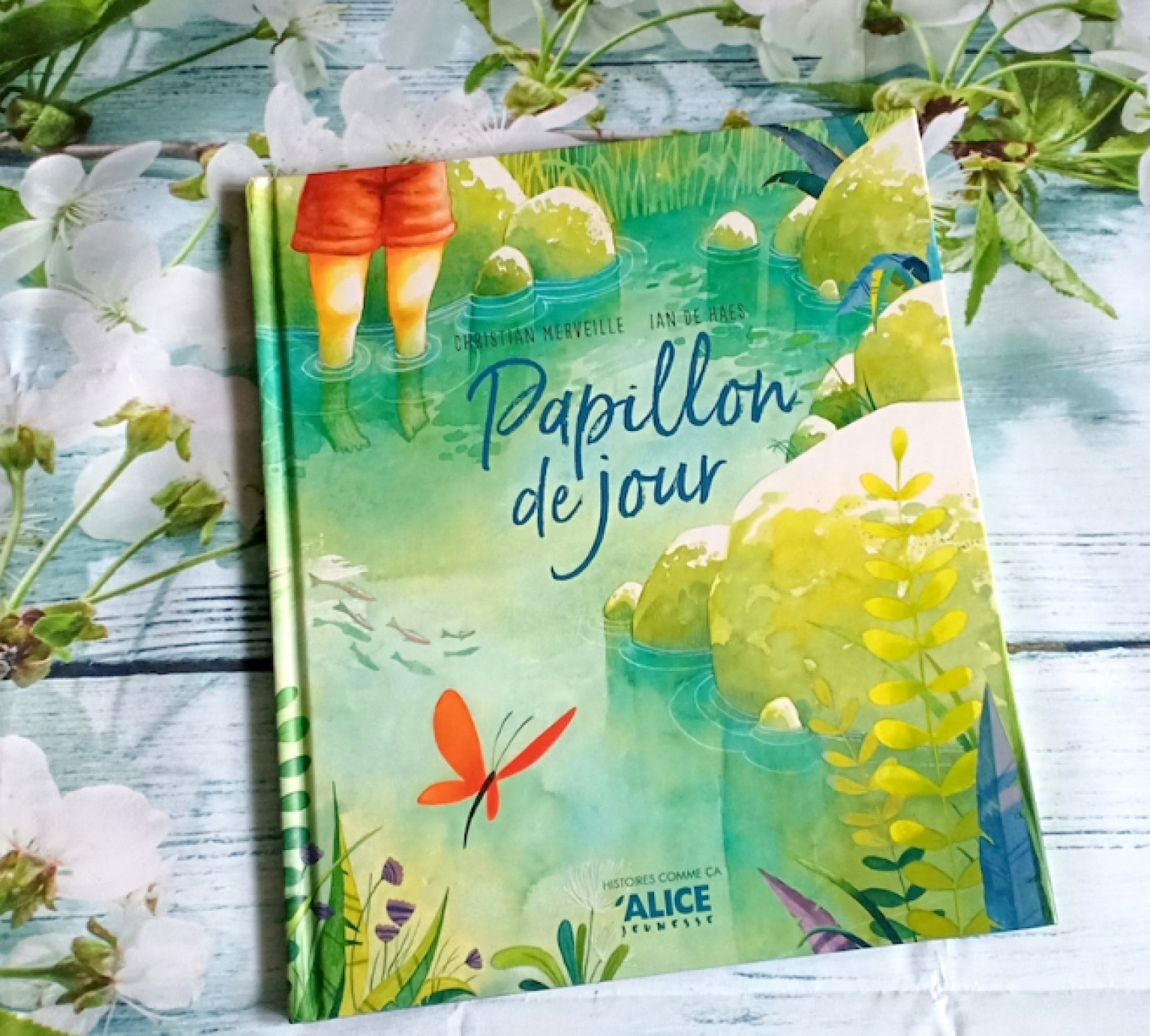 Livres +4 ans - Boutique Toup'tibou - photo 34