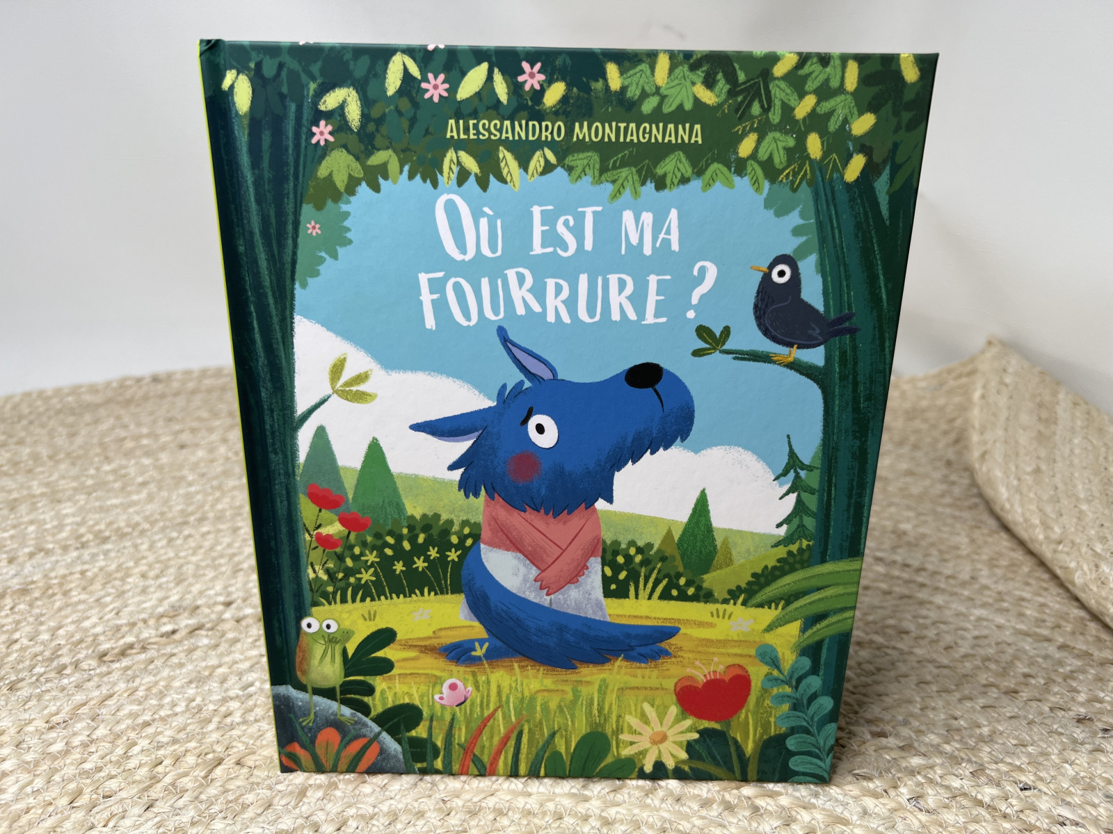 Livres +3 ans - Boutique Toup'tibou - photo 30