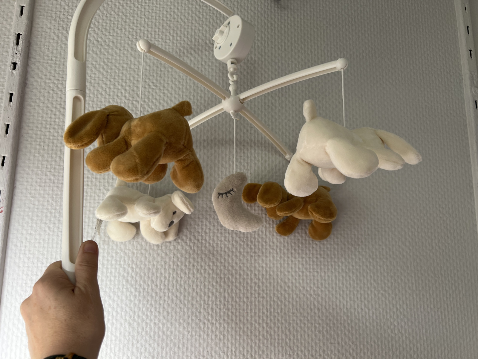 Boutique en ligne - photo 18