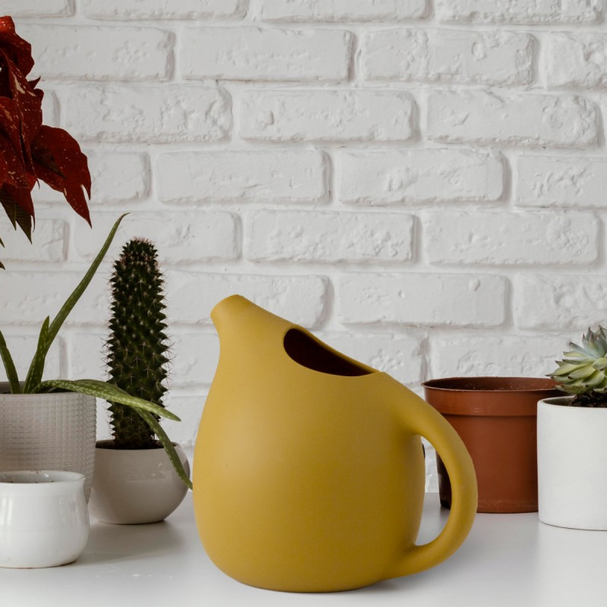 Jeux d'extérieur - photo 6