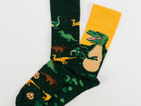 Chaussettes Many Mornings - The Dinosaurs - photo 7