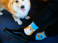 Chaussettes Many Mornings - Playful Dog - Boutique Toup'tibou - photo 8