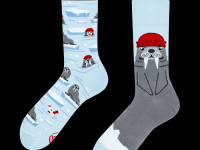 Chaussettes Many Mornings - The Walrus - Boutique Toup'tibou - photo 9