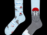 Chaussettes Many Mornings - The Walrus - photo 9