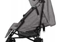 Buggy Ding Gris - photo 10