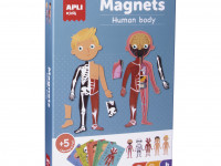 Boite magnets Le corps humain +5A - Boutique Toup'tibou - photo 7