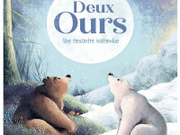 Deux ours - Boutique Toup'tibou - photo 7