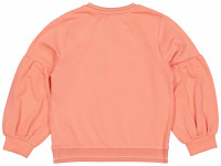 Sweat Berna S241 - photo 13