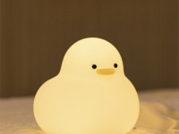 Veilleuse Canard - photo 15