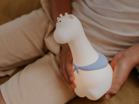 Veilleuse Girafe - photo 16