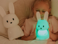 Veilleuse Lapin Big - photo 19