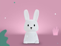 Veilleuse Lapin Small - photo 18