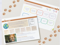 Livret Les Animaux Sauvages de 8 à 11 ans - photo 9