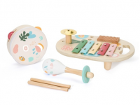 Ensemble d instruments Iris - photo 7