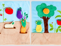 Fruits et légumes - photo 7