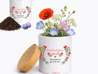 Pot de fleur - INstitutrice géniale - photo 7