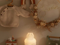 Veilleuse silicone Hippo Bluetooth - photo 9